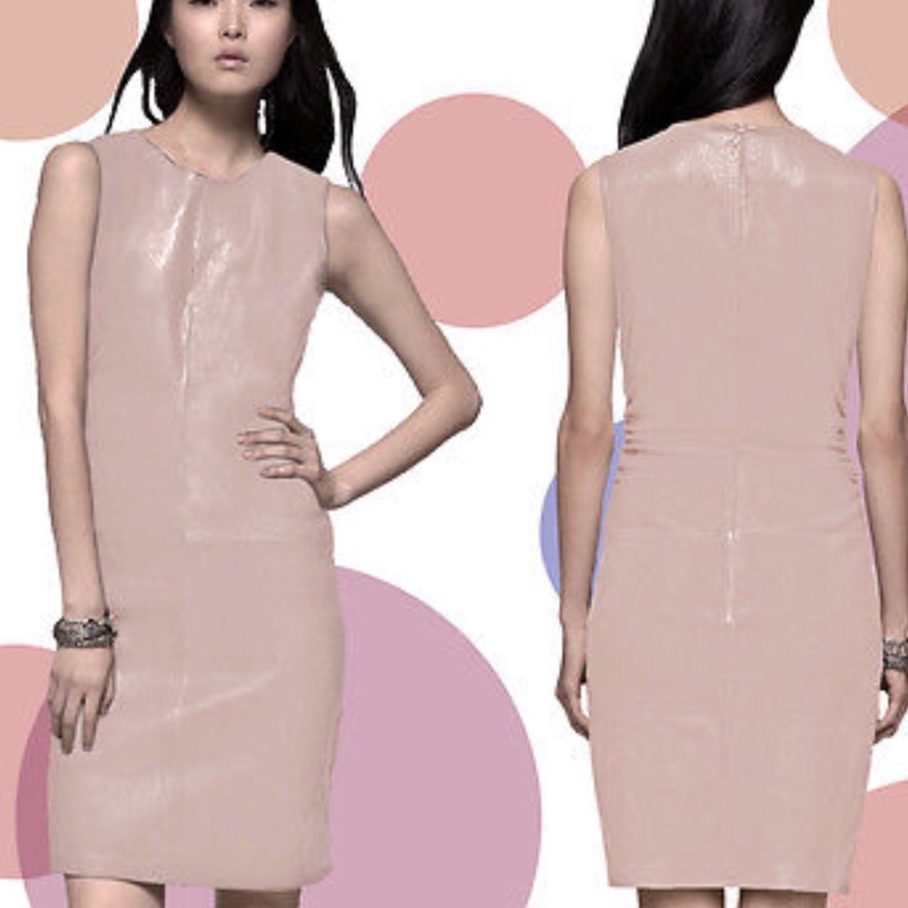Theory %💯LAMB /AGNEAU  dress